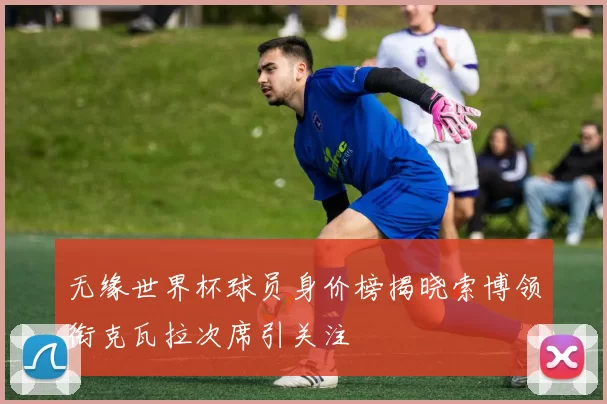 无缘世界杯球员身价榜揭晓索博领衔克瓦拉次席引关注